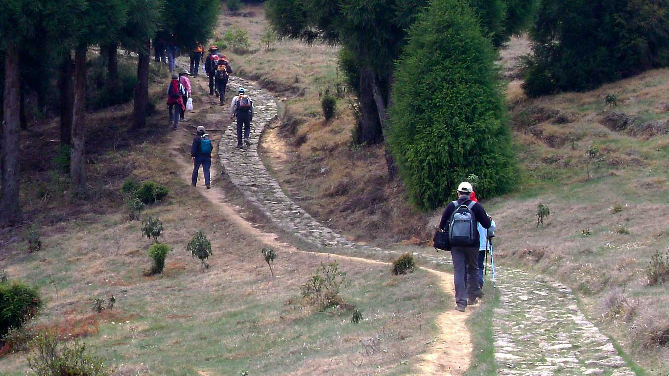 Sandakphu Phalut 10 Day