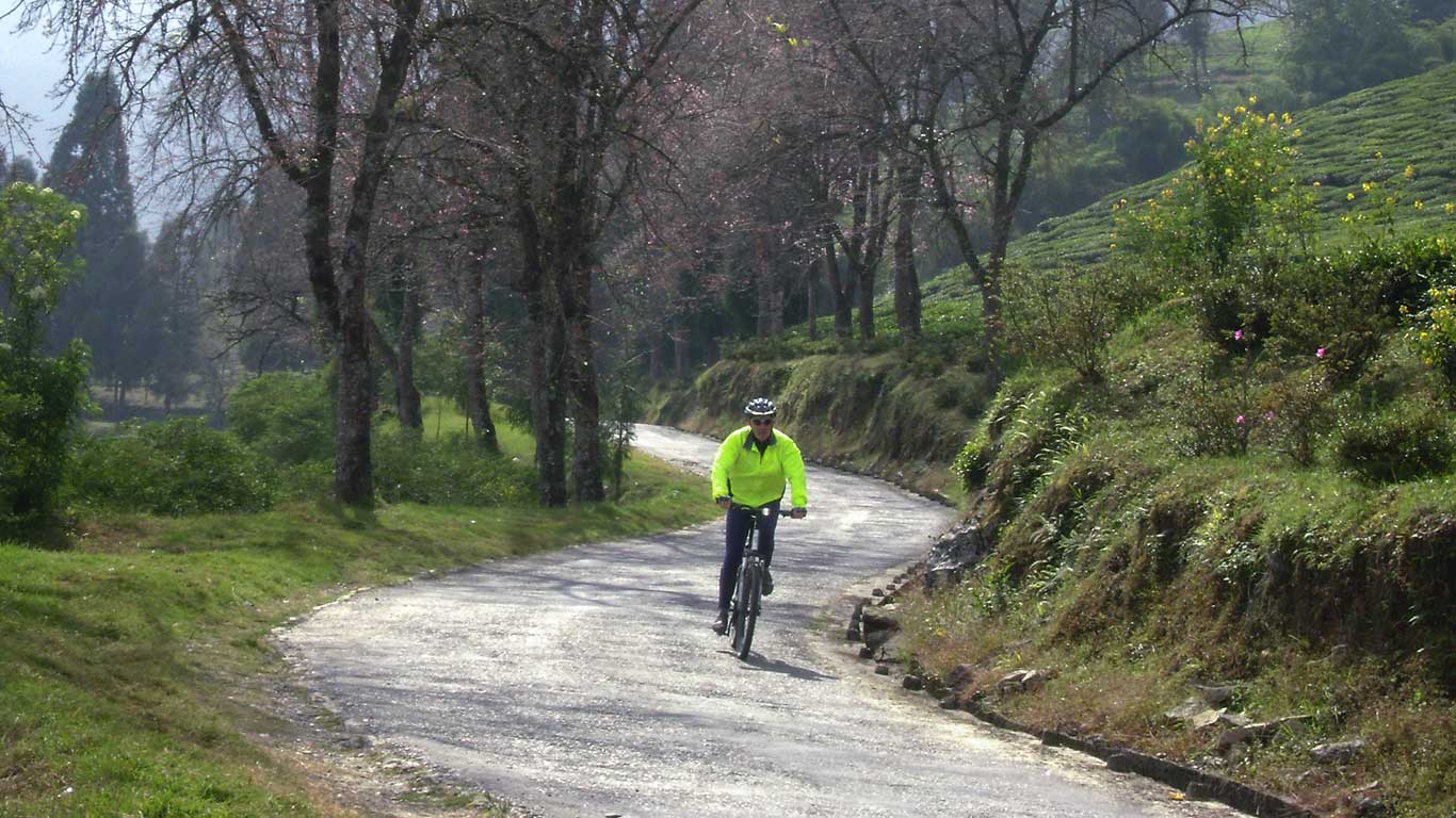 Darjeeling Sikkim Mountain Biking